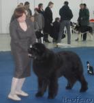 Превью фото № 26297