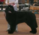 Превью фото № 26338