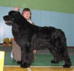 Превью фото № 26370