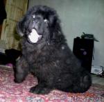 Превью фото № 2648