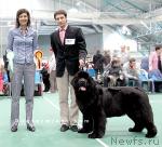 Превью фото № 26536