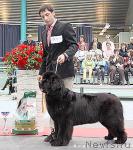 Превью фото № 26537