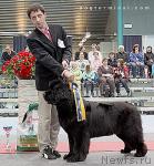 Превью фото № 26538