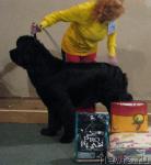 Превью фото № 26547