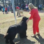 Превью фото № 26654