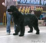 Превью фото № 26823