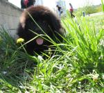 Превью фото № 26880