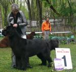 Превью фото № 26906