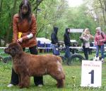 Превью фото № 26907