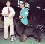 Превью фото № 2696