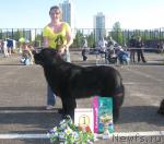 Превью фото № 26977