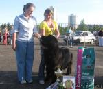 Превью фото № 26979