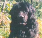 Превью фото № 2710