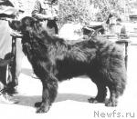 Превью фото № 2734