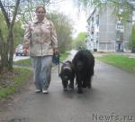 Превью фото № 27361