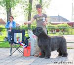 Превью фото № 27367