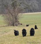 Превью фото № 27449