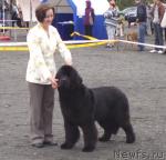 Превью фото № 27499