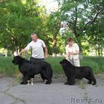 Превью фото № 27514