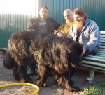 Превью фото № 27596