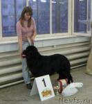 Превью фото № 2780