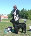 Превью фото № 27925