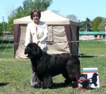 Превью фото № 27943