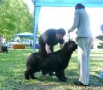 Превью фото № 27951