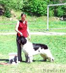 Превью фото № 28058