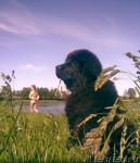 Превью фото № 28358