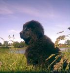 Превью фото № 28359