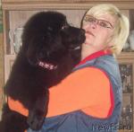 Превью фото № 28495