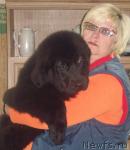 Превью фото № 28496