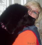 Превью фото № 28499