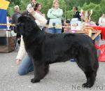 Превью фото № 28585