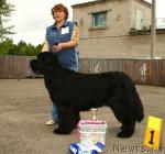 Превью фото № 28597