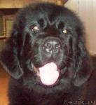 Превью фото № 28608