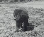 Превью фото № 28740