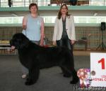 Превью фото № 28900