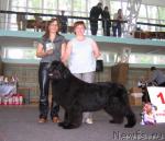 Превью фото № 28901