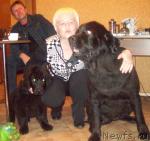 Превью фото № 28924