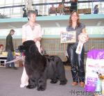 Превью фото № 28971