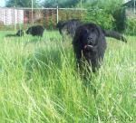 Превью фото № 29067