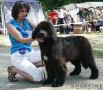 Превью фото № 29115