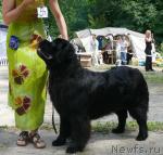 Превью фото № 29125