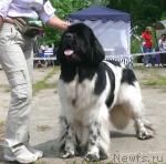 Превью фото № 29134