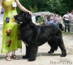 Превью фото № 29135