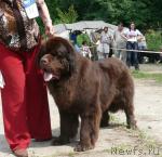 Превью фото № 29137