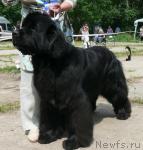 Превью фото № 29139