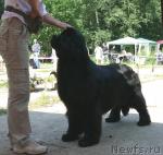 Превью фото № 29147